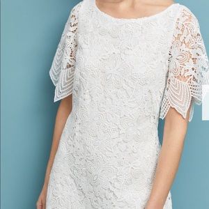 Anthropologie Charleston Lace Mini Dress. Plus Size